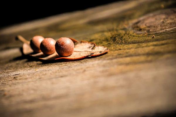 Kasvohoidot ja ihonhoito